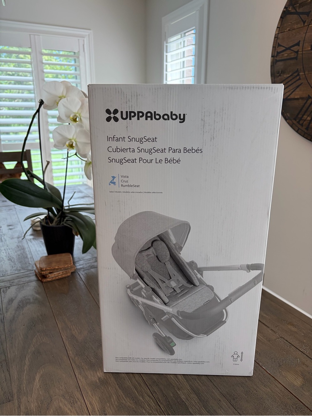 Infant SnugSeat UPPABABY